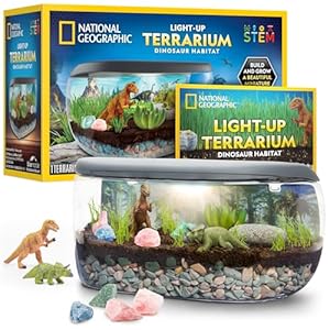 NATIONAL GEOGRAPHIC Light Up Terrarium Kit for Kids - Build a Dinosaur Habitat with Real Plants & Gemstones, Science Kit, Dinosaur Toys for Kids (Amazon Exclusive) | Amazon price tracker / tracking, Amazon price history charts, Amazon price watches, Amazon price drop alerts